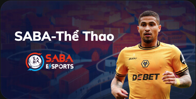 sapa sport